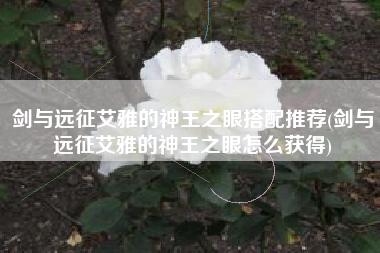 剑与远征艾雅的神王之眼搭配推荐(剑与远征艾雅的神王之眼怎么获得)