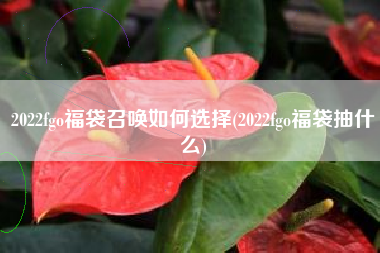 2022fgo福袋召唤如何选择(2022fgo福袋抽什么)