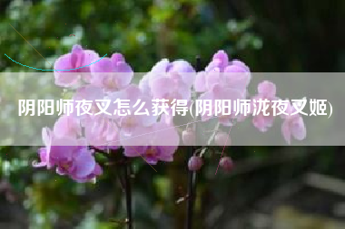 阴阳师夜叉怎么获得(阴阳师泷夜叉姬)