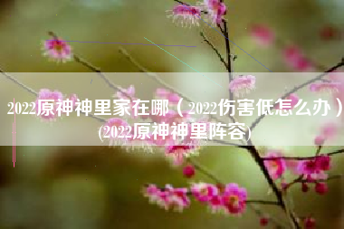 2022原神神里家在哪（2022伤害低怎么办）(2022原神神里阵容)