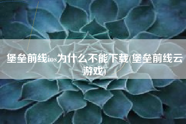 堡垒前线ios为什么不能下载(堡垒前线云游戏)