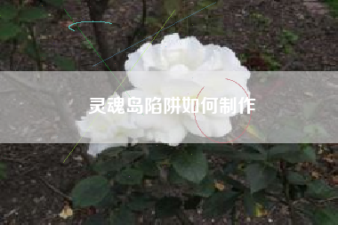 灵魂岛陷阱如何制作