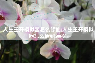 人生重开模拟器怎么修仙(人生重开模拟器怎么活到500岁)