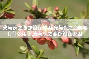 光与夜之恋邮箱在哪里(光与夜之恋邮箱有什么用）(光与夜之恋邮箱在哪里)
