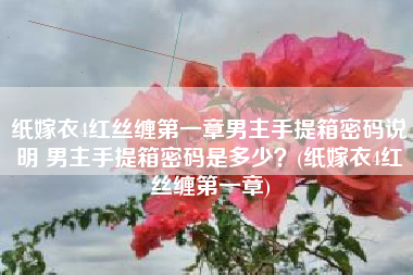 纸嫁衣4红丝缠第一章男主手提箱密码说明 男主手提箱密码是多少？(纸嫁衣4红丝缠第一章)