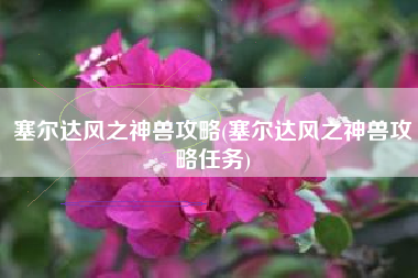 塞尔达风之神兽攻略(塞尔达风之神兽攻略任务)