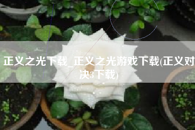 正义之光下载_正义之光游戏下载(正义对决3下载)