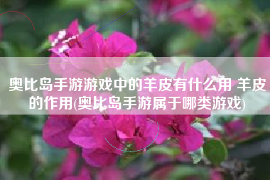 奥比岛手游游戏中的羊皮有什么用 羊皮的作用(奥比岛手游属于哪类游戏)