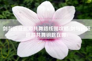 剑与远征巡游共舞路线图攻略(剑与远征巡游共舞钥匙在哪)