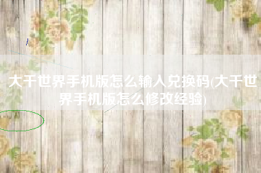大千世界手机版怎么输入兑换码(大千世界手机版怎么修改经验)