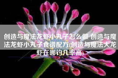 创造与魔法龙虾小丸子怎么做 创造与魔法龙虾小丸子食谱配方(创造与魔法大龙虾在哪钓几率高)