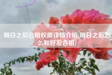 明日之后合租权限详情介绍(明日之后怎么和好友合租)