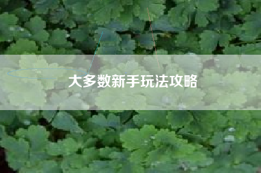 大多数新手玩法攻略