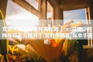 荒野大镖客账本怀表在哪【2022战地一兵种等级怎么提升】(荒野大镖客2账本手表枪)