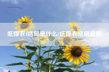 纸嫁衣4结局是什么(纸嫁衣结局是啥)