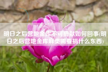 明日之后营地金库不可捐献如何回事(明日之后营地金库麻类需要捐什么东西)