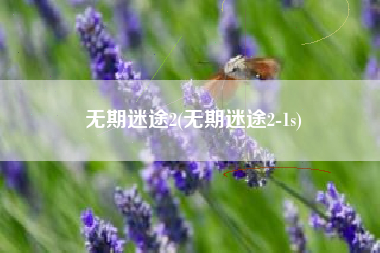 无期迷途2(无期迷途2-1s)