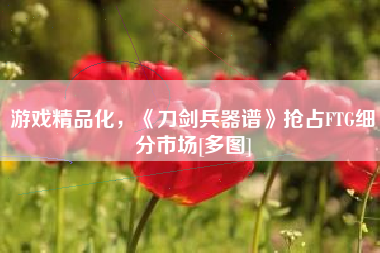 游戏精品化，《刀剑兵器谱》抢占FTG细分市场[多图]