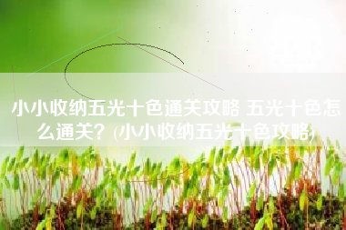 小小收纳五光十色通关攻略 五光十色怎么通关？(小小收纳五光十色攻略)