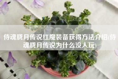 侍魂胧月传说红魔装备获得方法介绍(侍魂胧月传说为什么没人玩)