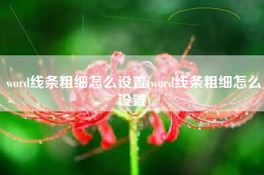 word线条粗细怎么设置(word线条粗细怎么设置)