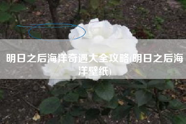 明日之后海洋奇遇大全攻略(明日之后海洋壁纸)