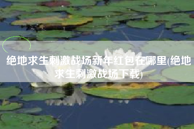 绝地求生刺激战场新年红包在哪里(绝地求生刺激战场下载)
