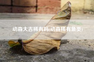 动森大吉稀有吗(动森稀有鱼类)