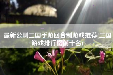 最新公测三国手游回合制游戏推荐(三国游戏排行榜前十名)
