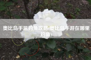 奥比岛手游钓鱼攻略(奥比岛手游在哪里钓鱼)