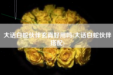 大话白蛇伙伴玄真好用吗(大话白蛇伙伴搭配)
