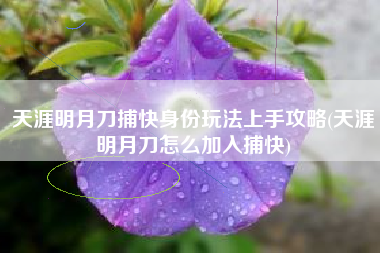 天涯明月刀捕快身份玩法上手攻略(天涯明月刀怎么加入捕快)