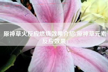 原神草火反应燃烧效果介绍(原神草元素反应效果)
