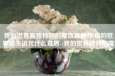 我的世界最独特的附魔效果推荐,我的世界消失诅咒什么意思-(我的世界独特附魔)