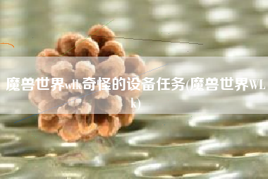 魔兽世界wlk奇怪的设备任务(魔兽世界WLk)