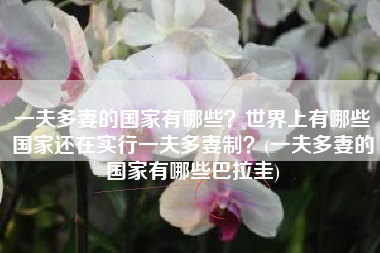 一夫多妻的国家有哪些？世界上有哪些国家还在实行一夫多妻制？(一夫多妻的国家有哪些巴拉圭)