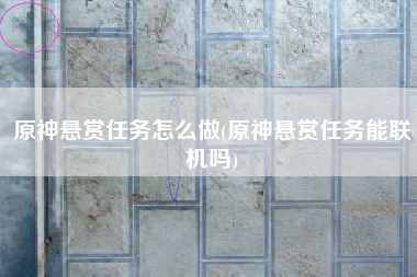 原神悬赏任务怎么做(原神悬赏任务能联机吗)