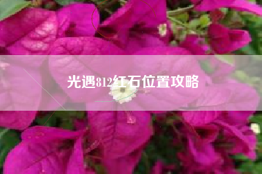 光遇812红石位置攻略