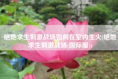 绝地求生刺激战场如何在室内生火(绝地求生刺激战场(国际服))