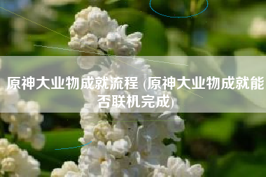 原神大业物成就流程 (原神大业物成就能否联机完成)