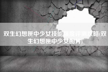 双生幻想匣中少女技能强度评测攻略(双生幻想匣中少女图片)