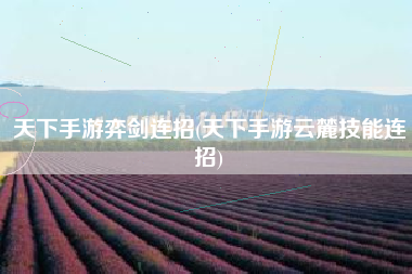 天下手游弈剑连招(天下手游云麓技能连招)