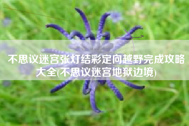 不思议迷宫张灯结彩定向越野完成攻略大全(不思议迷宫地狱边境)