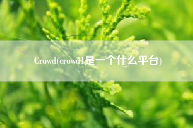 Crowd(crowd1是一个什么平台)