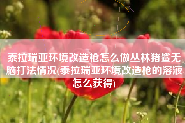 泰拉瑞亚环境改造枪怎么做丛林猪鲨无脑打法情况(泰拉瑞亚环境改造枪的溶液怎么获得)