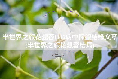 半世界之旅花想容LV15病中探望结缘文章(半世界之旅花想容结局)