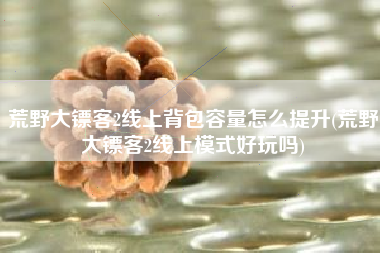 荒野大镖客2线上背包容量怎么提升(荒野大镖客2线上模式好玩吗)