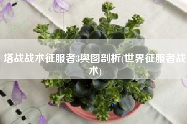 塔战战术征服者3舆图剖析(世界征服者战术)