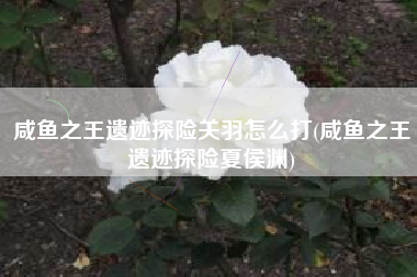 咸鱼之王遗迹探险关羽怎么打(咸鱼之王遗迹探险夏侯渊)