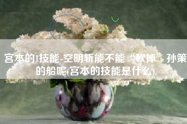 宫本的1技能-空明斩能不能“砍掉”孙策的船呢(宫本的技能是什么)